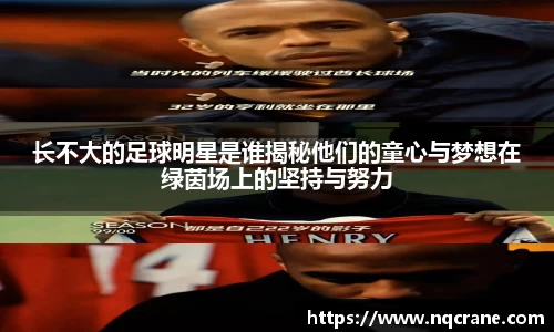 必一运动B·Sport